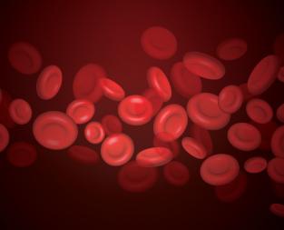 blog//hemoglobin-test