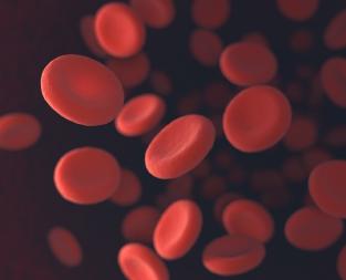 blog//anaemia-types-symptoms-and-causes