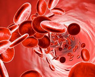 blog/thalassemia-signs-symptoms-and-types